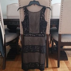 Lulus Dress. Brand new!